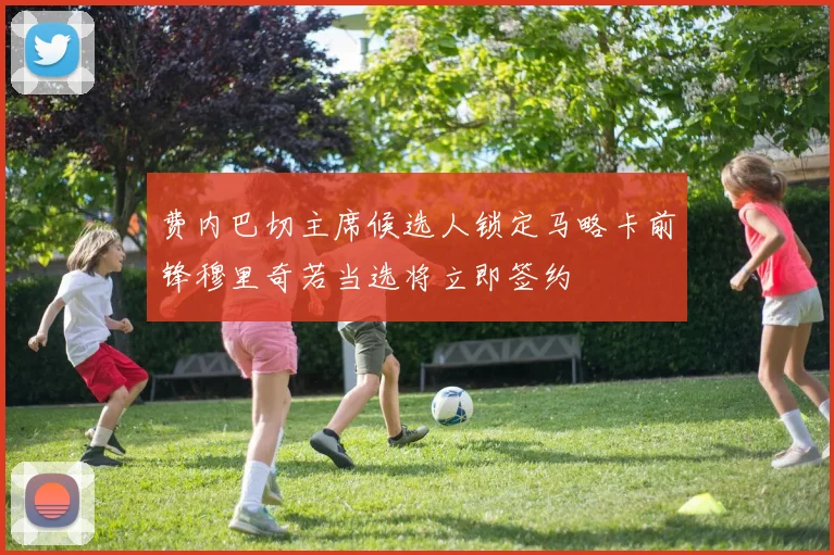 费内巴切主席候选人锁定马略卡前锋穆里奇若当选将立即签约